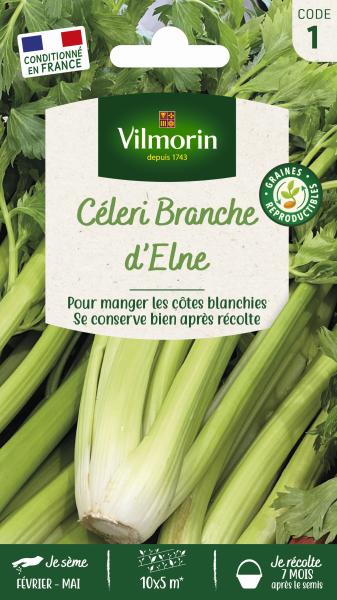 Potagères - Céleri Branche d'Elne - PACKAGING_RECTO